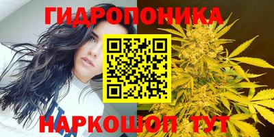 сатива Коммунар