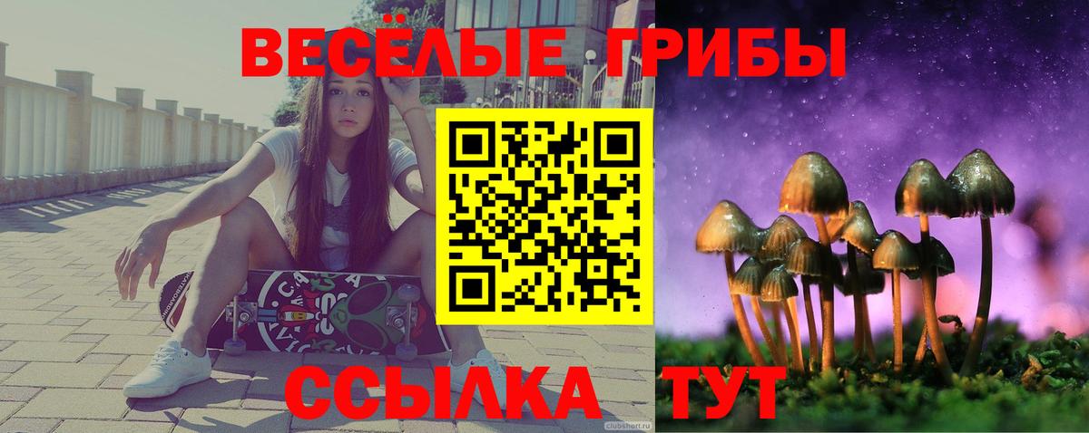 Псилоцибиновые грибы Magic Shrooms Янаул